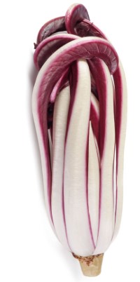 Radicchio Tardivo